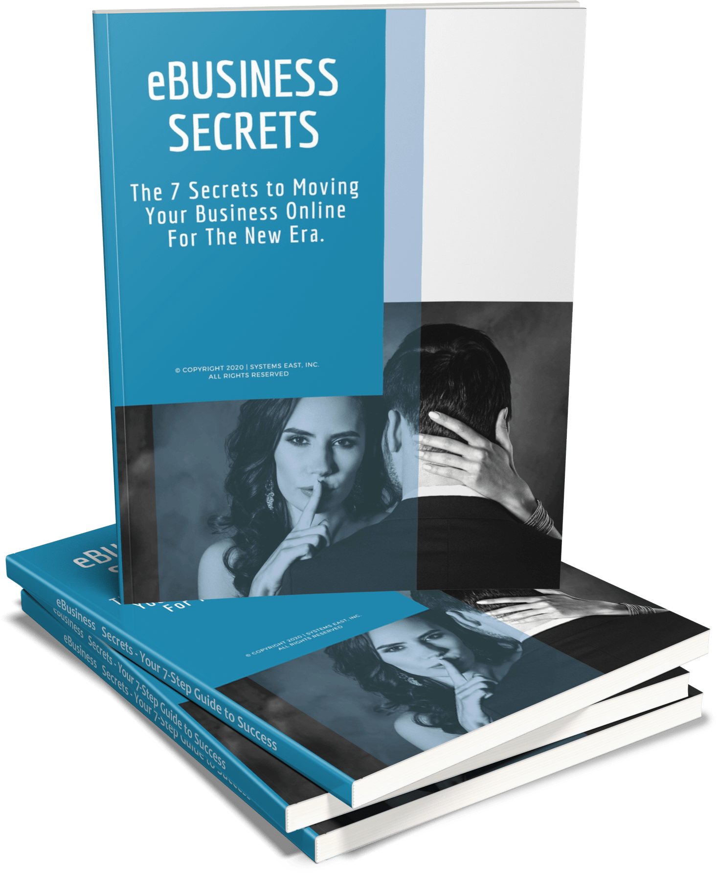 7-Business-Secrets-eBook-cover